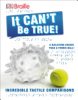 It_can_t_be_true___a_hailstone_bigger_than_a_tennis_ball____incredible_tactile_comparisons____IN_BRAILLE_