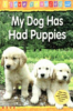 My_dog_has_had_puppies