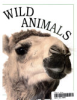 Wild_animals