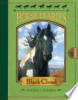 Black_Cloud____bk__8_Horse_Diaries_