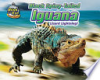 Black_spiny-tailed_iguana