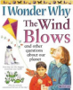 I_wonder_why_the_wind_blows_and_other_questions_about_our_planet