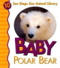 Baby_polar_bear
