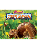 Creeping_Land_Snails