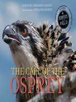 The_Call_of_the_Osprey