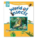 World_of_insects