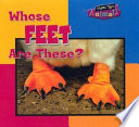 Whose_feet_are_these_