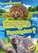 Hedgehog_or_porcupine_