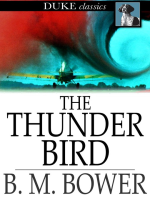 The_Thunder_Bird