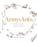 Army_ants