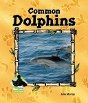 Common_dolphins