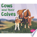 Cows_and_their_calves
