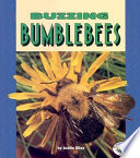 Buzzing_bumblebees