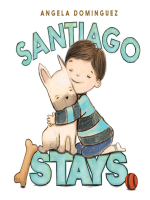 Santiago_Stays