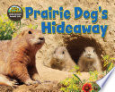 Prairie_dog_s_hideaway
