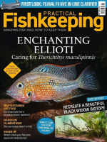 Practical_Fishkeeping