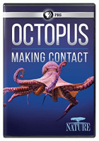 Octopus___making_contact