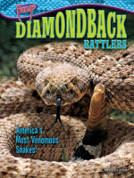 Diamondback_Rattlers