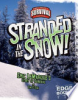Stranded_in_the_snow_