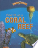 Find_it_on_a_coral_reef