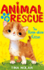 The_home-alone_kitten____Animal_Rescue_Center_
